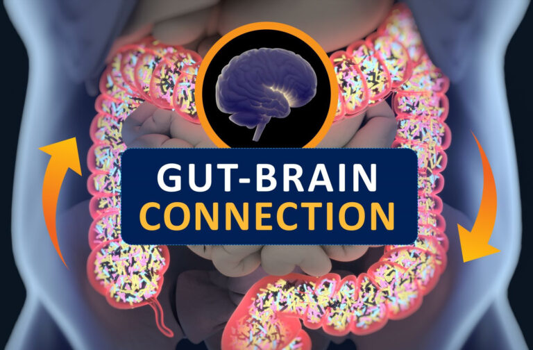 gut-brain