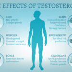 testosterone balance