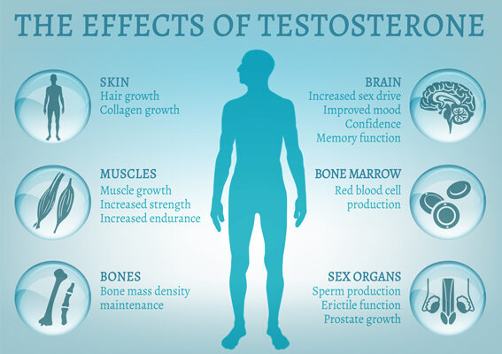 testosterone balance
